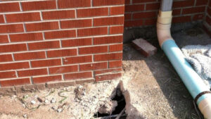 Dunedin Foundation Repair Services